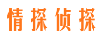 珠晖外遇出轨调查取证